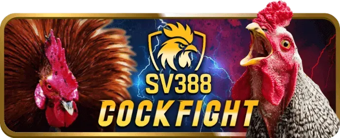 Đội ngũ hỗ trợ khách hàng 24/7 của VF88